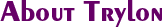About Trylon