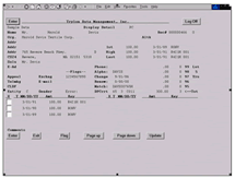 Trylon Data Management-Creating Data Solutions for Fundraisers, Large and Small